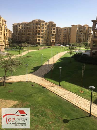 2 Bedroom Apartment for Rent in Madinaty, Cairo - IMG-20250916-WA0610. jpg