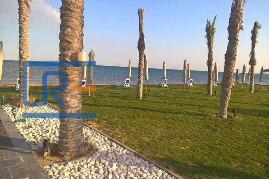 5 dc2446be-043e-416a-a234-d43bc3646948. jpeg