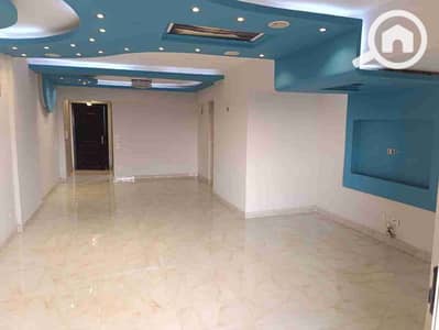 2 Bedroom Flat for Rent in Nasr City, Cairo - 1000942699. jpg