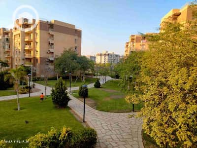 فلیٹ 3 غرف نوم للايجار في مدينتي، القاهرة - 1000229160. jpg