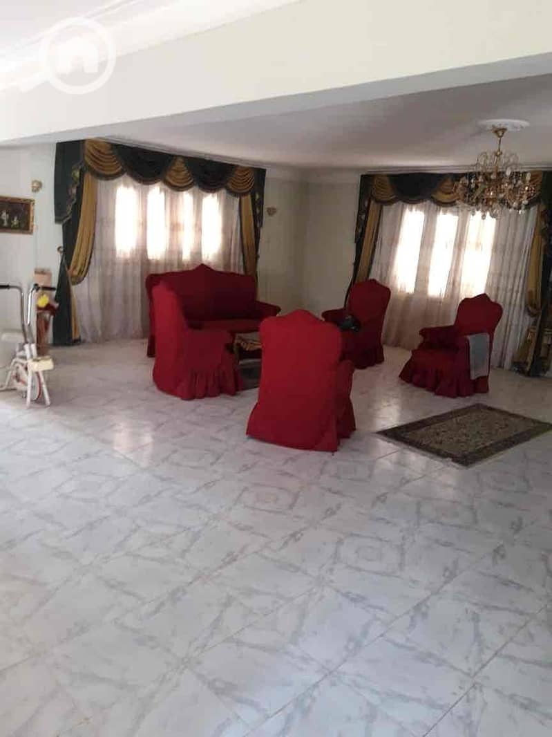 15 ba3f5467-a097-4208-aae7-bc10fc84e47c. jpg