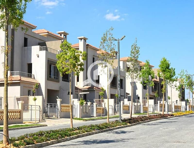 3 1146557-83dcbo. jpg