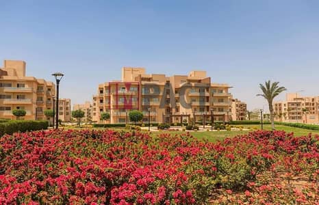 3 Bedroom Flat for Sale in Shorouk City, Cairo - da95ae88-18ab-46b9-addd-c8761a0b93e4. jpg