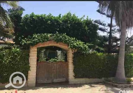 فیلا 11 غرف نوم للايجار في المهندسين، الجيزة - 1000456834. jpg