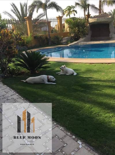 1 Bedroom Apartment for Rent in New Cairo, Cairo - WhatsApp Image 2025-09-20 at 11.38. 58 AM. jpeg