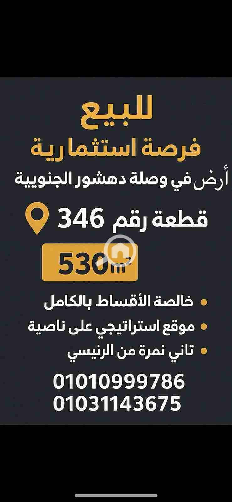 3 1000059507. jpg