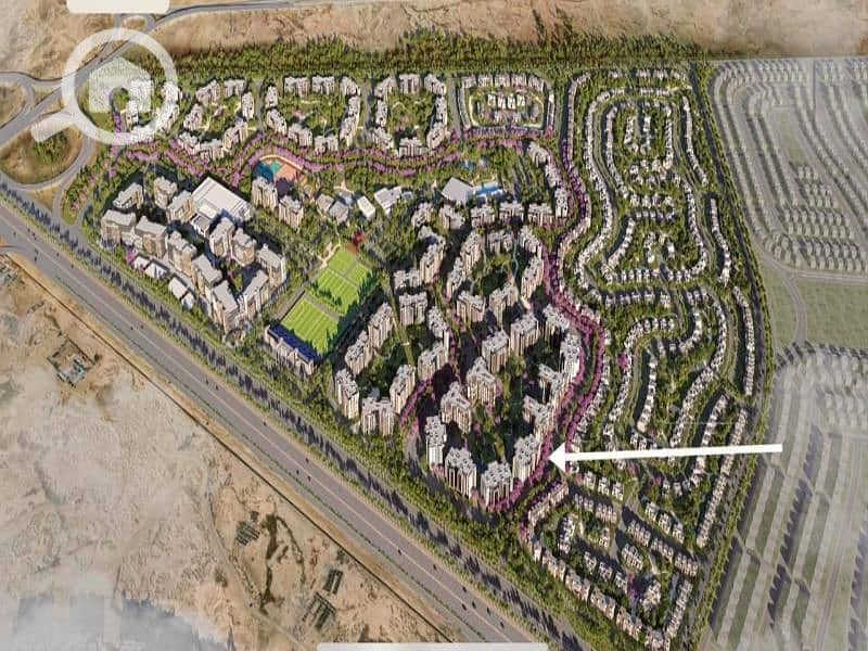 3 WhatsApp Image 2025-09-22 at 6.18. 13 AM. jpg