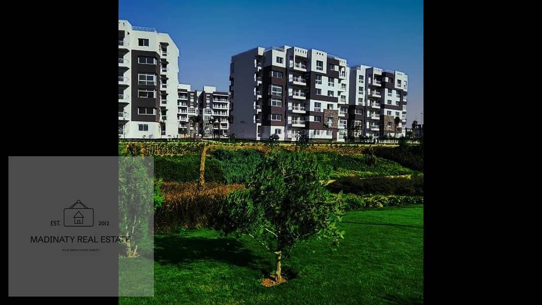 12 maxresdefault (1). jpg