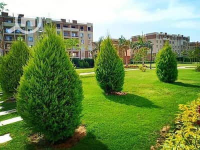 استوديو  للبيع في مدينتي، القاهرة - FB_IMG_1732182149785. jpg