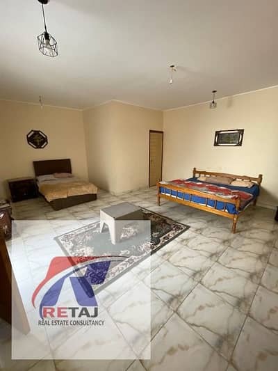 Studio for Rent in New Cairo, Cairo - WhatsApp Image 2025-09-04 at 12.45. 41 (4). jpeg