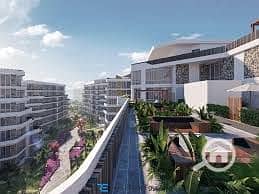 3 bloom fields1. jpg