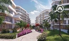 5 bloom fields4. jpg