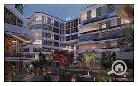 7 bloom fields6. jpg