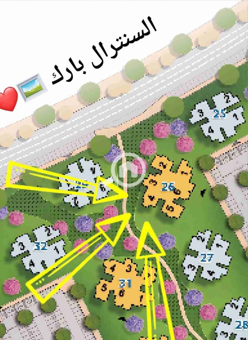 2 1000068549. jpg