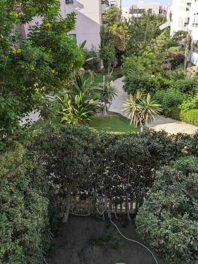 3 Bedroom Flat for Rent in New Cairo, Cairo - 1000158687. jpg