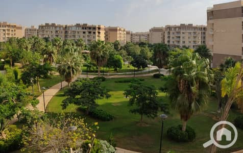 3 Bedroom Flat for Sale in Madinaty, Cairo - WhatsApp Image 2025-09-16 at 6.52. 45 PM (1). jpeg