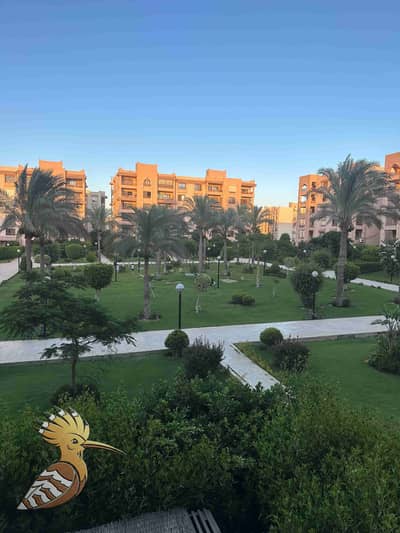 4 Bedroom Flat for Sale in New Cairo, Cairo - 1000508317. jpg
