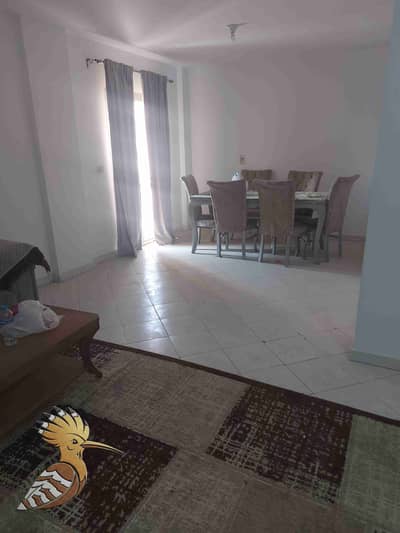 3 Bedroom Flat for Rent in New Cairo, Cairo - 1000495748. jpg
