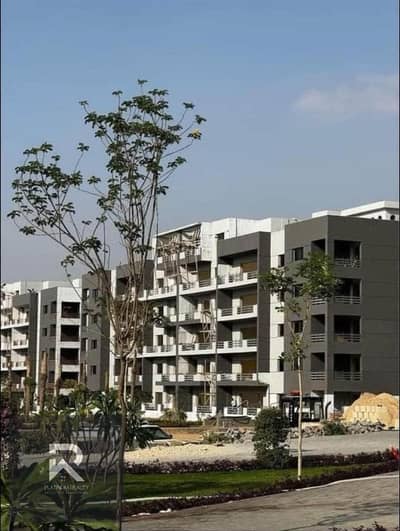 3 Bedroom Apartment for Sale in Sheraton, Cairo - 497563051_9387282101393761_5057560570416604428_n. jpg