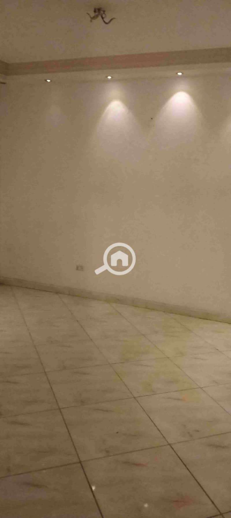 1000093862. jpg