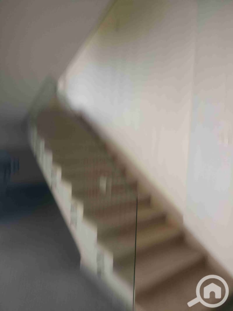 12 1000024595. jpg