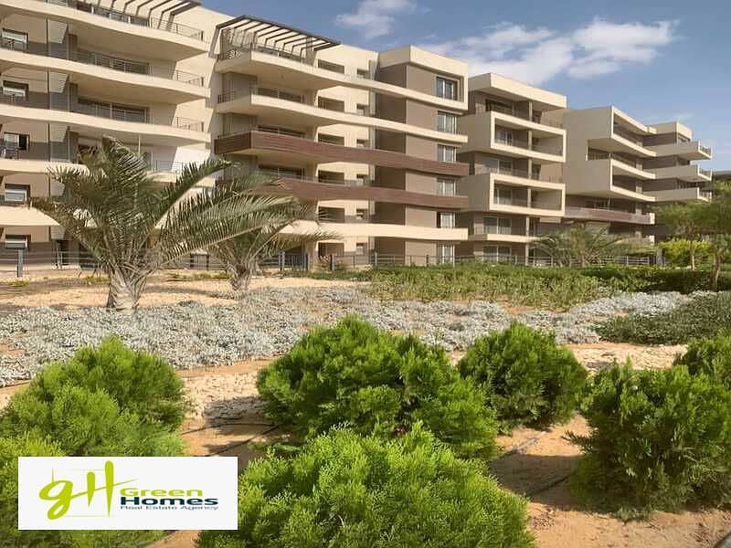 6 WhatsApp Image 2025-02-27 at 12.41. 18 PM (1). jpeg