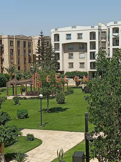 3 Bedroom Flat for Rent in New Cairo, Cairo - صورة واتساب بتاريخ 1447-03-30 في 13.58. 25_74a1243c. jpg 3 Bedroom Flat for Rent in New Cairo, Cairo - صورة واتساب بتاريخ 1447-03-30 في 13.58. 25_74a1243c. jpg