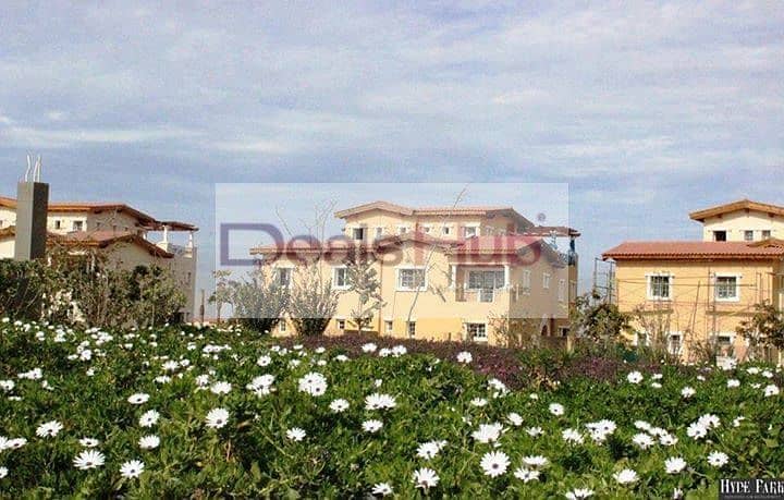 8 53305483_2258298381124840_8049439736919490560_n. jpg