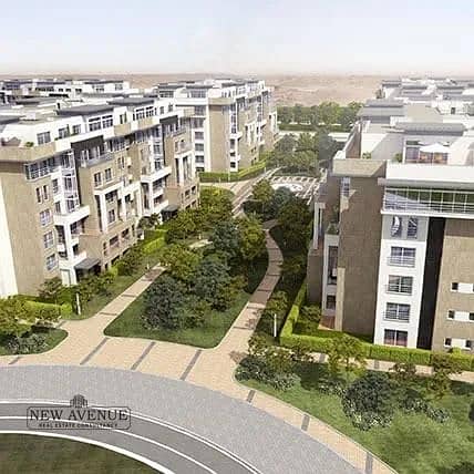 2 52332ac7-4f16-4036-99f0-a183f11fb19b. jpg