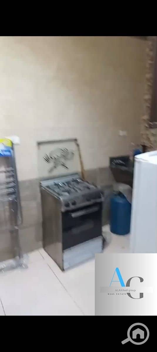 8 WhatsApp Image 2025-09-23 at 14.24. 48_13fedd1c. jpg