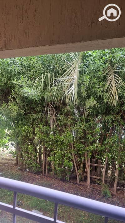 فلیٹ 2 غرفة نوم للبيع في مدينتي، القاهرة - 3eb8c23e-2234-45b5-a044-e15ed926ffb5. jpg