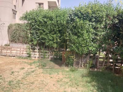 3 Bedroom Flat for Rent in New Cairo, Cairo - WhatsApp Image 2025-09-23 at 12.30. 34 PM. jpeg