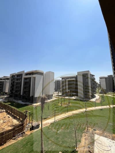3 Bedroom Flat for Sale in Madinaty, Cairo - WhatsApp Image 2025-09-15 at 11.31. 48 AM. jpeg