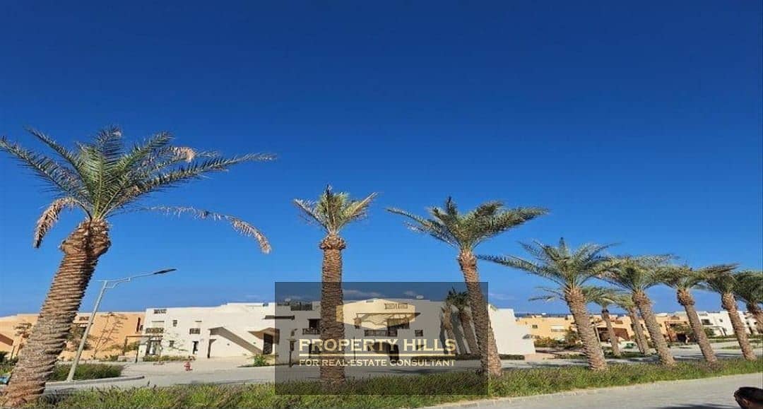 15 WhatsApp Image 2024-07-28 at 3.55. 57 PM. jpeg