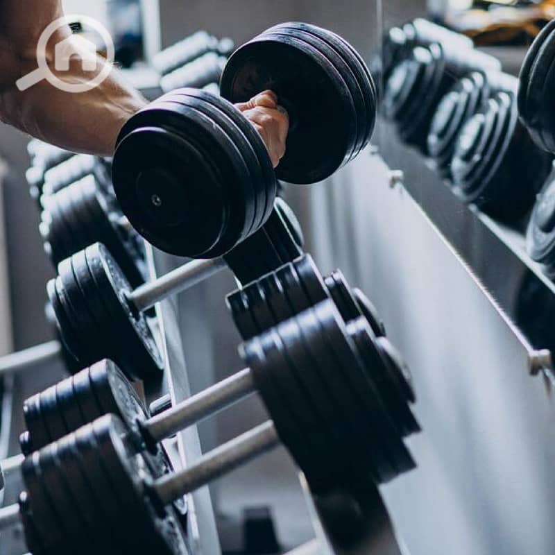 6 GYM. jpg