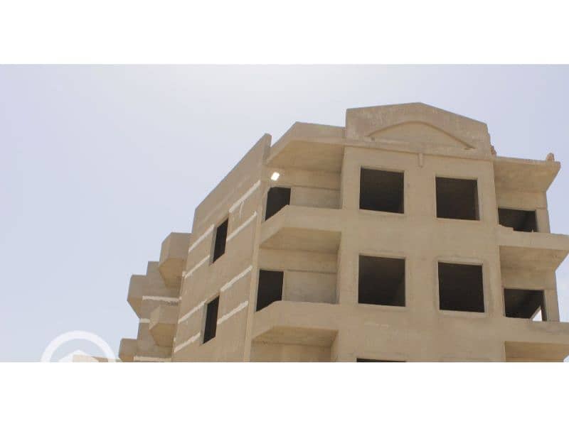 3 النرجس الجديدة 88. jpg