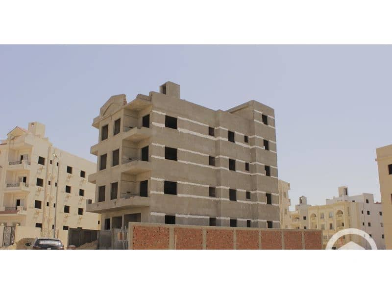 4 النرجس الجديدة 99. jpg