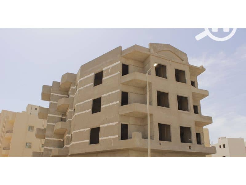 5 النرجس الجديدة 999. jpg