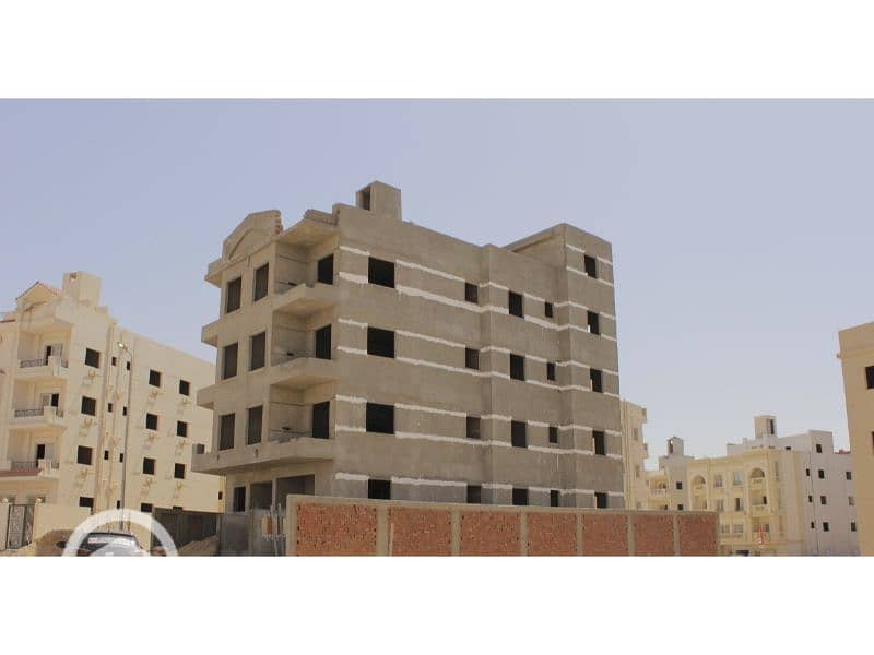 6 النرجس الجديدة 99. jpg