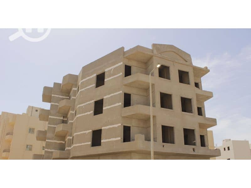 8 النرجس الجديدة 66. jpg