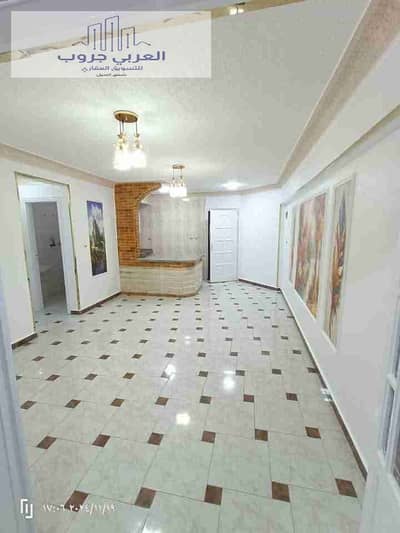 2 Bedroom Flat for Sale in Nakheel, Alexandria - 1000239987. jpg