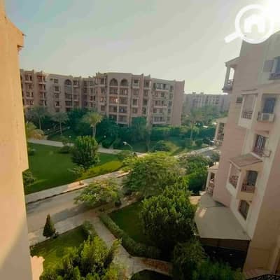 2 Bedroom Flat for Rent in New Cairo, Cairo - 1002041191. jpg