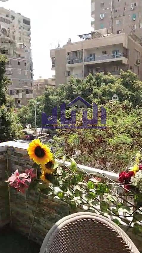 13 WhatsApp Image 2025-09-17 at 7.49. 17 PM (3). jpeg