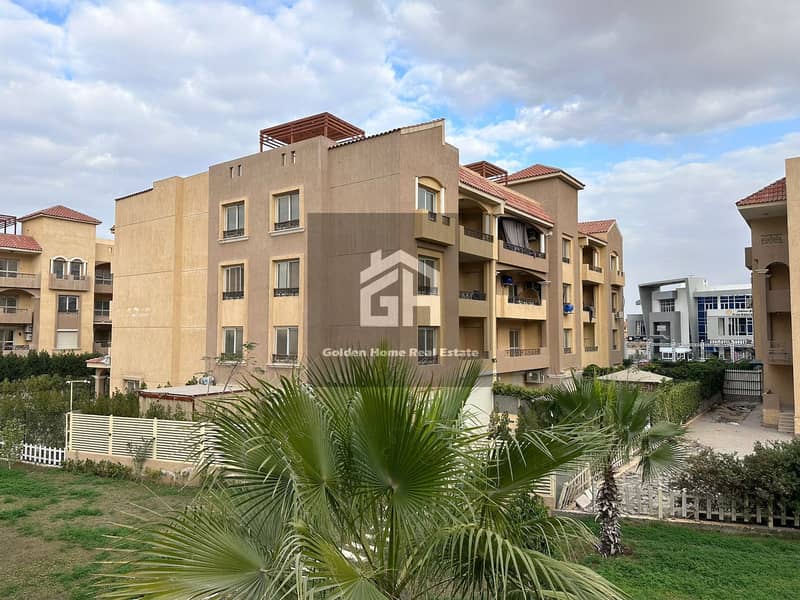 7 صورة واتساب بتاريخ 2025-09-14 في 20.00. 55_591aa4b6. jpg