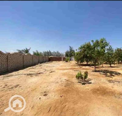 أرض سكنية  للبيع في 6 أكتوبر، الجيزة - 1000472505. jpg