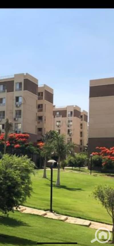 فلیٹ 2 غرفة نوم للايجار في مدينتي، القاهرة - IMG_6433. png