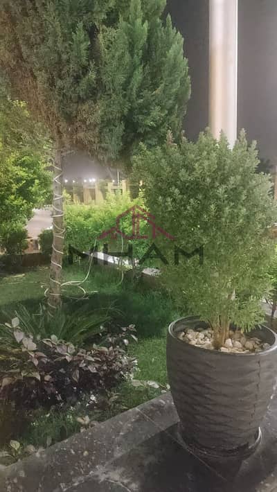 شقة 3 غرف نوم للايجار في القاهرة الجديدة، القاهرة - photo_5906901550943554271_y. jpg