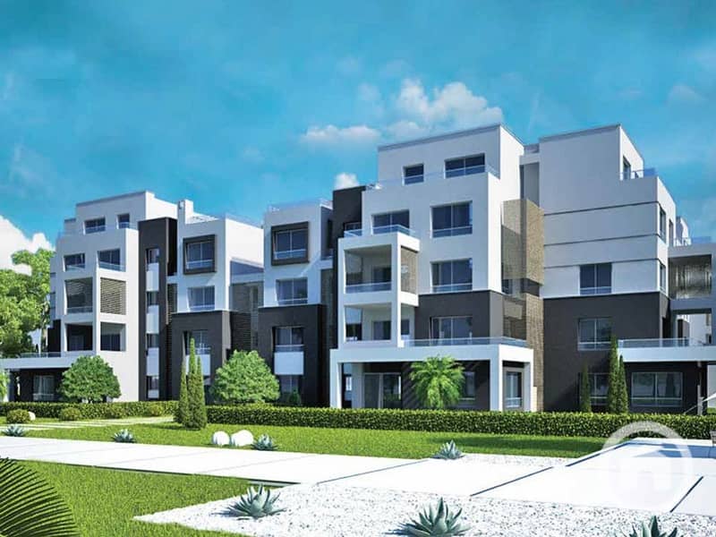 4 palm park 3. jpg
