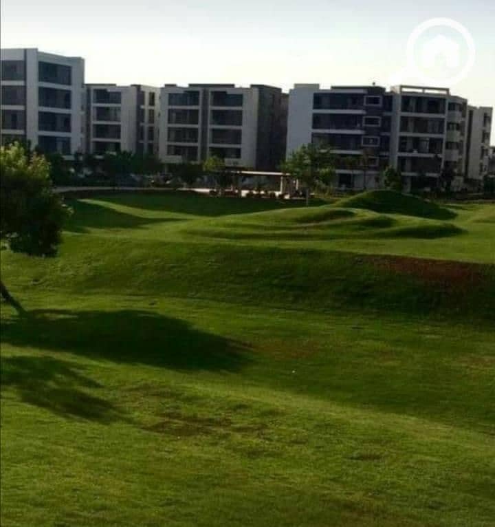 16 WhatsApp Image 2025-08-11 at 10.11. 13 AM. jpeg