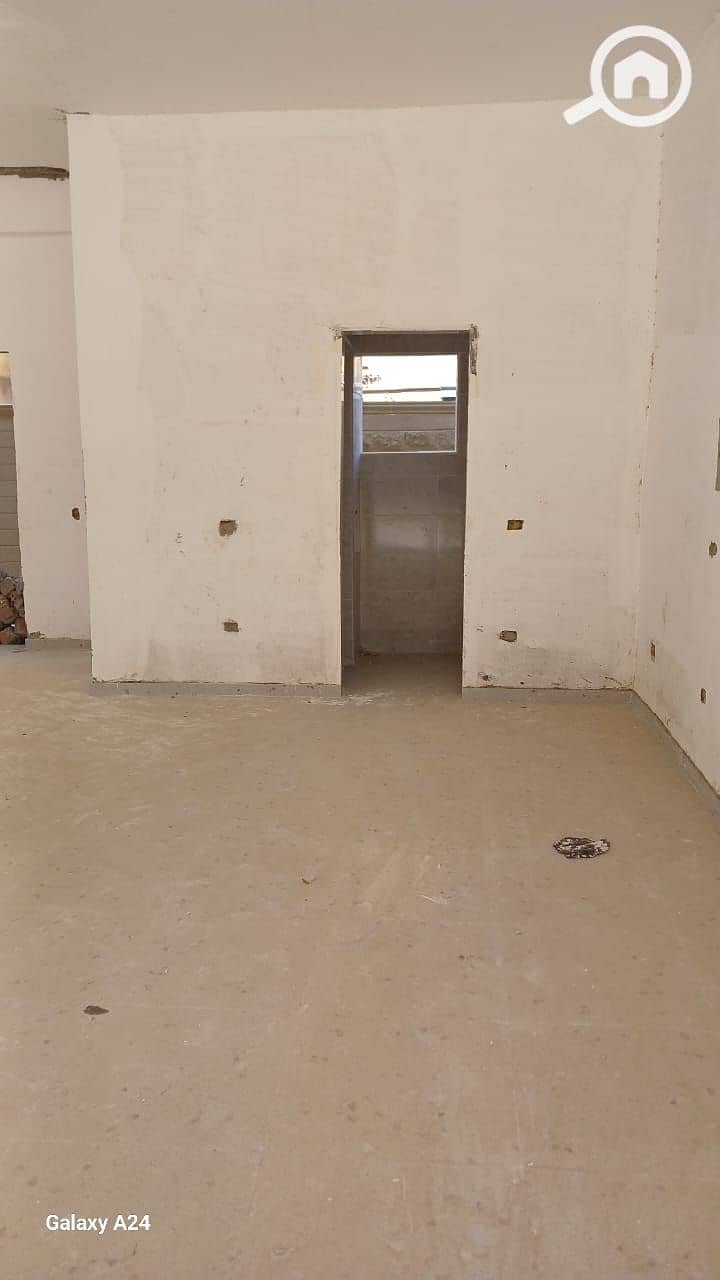5 5. jpg